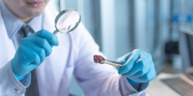 Investigación Científica